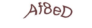 عبارت امنیتی