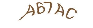 عبارت امنیتی