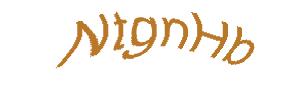 عبارت امنیتی