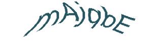 عبارت امنیتی