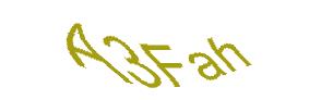عبارت امنیتی