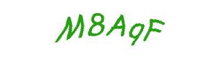 عبارت امنیتی