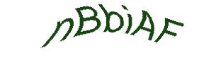 عبارت امنیتی