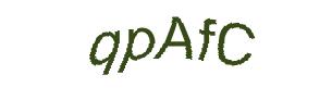 عبارت امنیتی