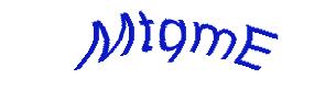 عبارت امنیتی