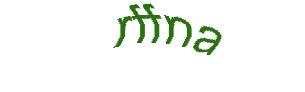 عبارت امنیتی