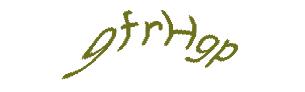 عبارت امنیتی
