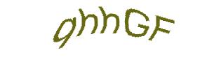 عبارت امنیتی