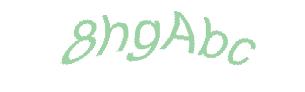 عبارت امنیتی