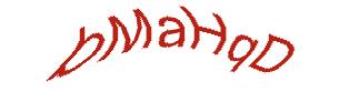 عبارت امنیتی