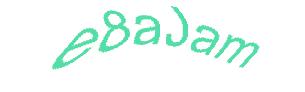 عبارت امنیتی