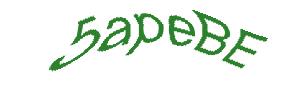 عبارت امنیتی