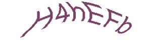 عبارت امنیتی
