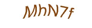 عبارت امنیتی