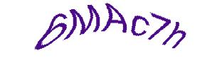 عبارت امنیتی
