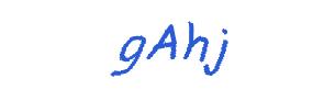 عبارت امنیتی