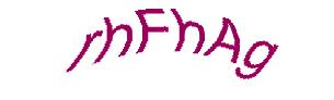 عبارت امنیتی