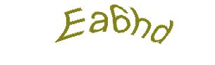 عبارت امنیتی