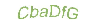 عبارت امنیتی