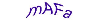 عبارت امنیتی
