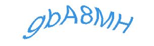 عبارت امنیتی