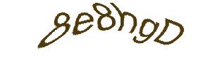 عبارت امنیتی