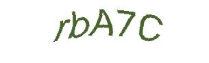 عبارت امنیتی