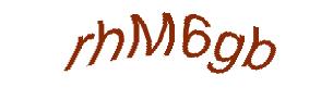 عبارت امنیتی