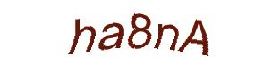 عبارت امنیتی