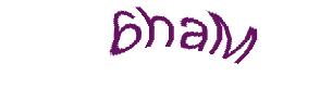 عبارت امنیتی