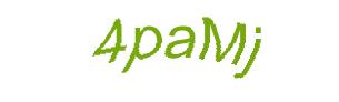عبارت امنیتی