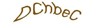 عبارت امنیتی