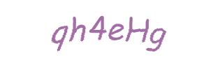 عبارت امنیتی