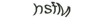عبارت امنیتی