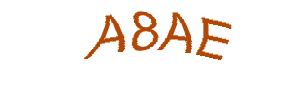 عبارت امنیتی