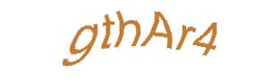 عبارت امنیتی