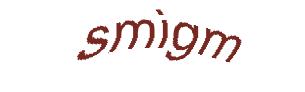 عبارت امنیتی