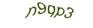 عبارت امنیتی