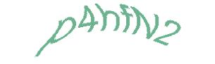 عبارت امنیتی