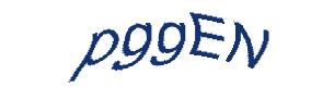 عبارت امنیتی
