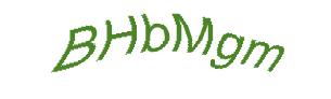 عبارت امنیتی