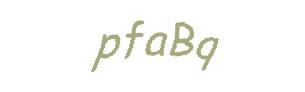عبارت امنیتی