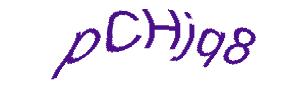 عبارت امنیتی
