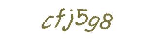 عبارت امنیتی