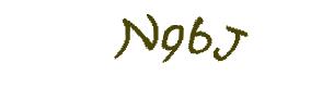 عبارت امنیتی