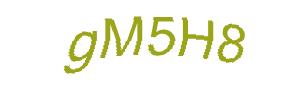 عبارت امنیتی
