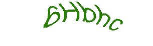 عبارت امنیتی
