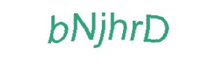 عبارت امنیتی
