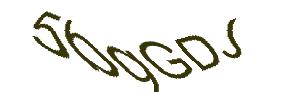 عبارت امنیتی