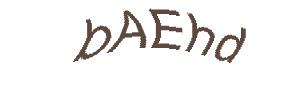 عبارت امنیتی